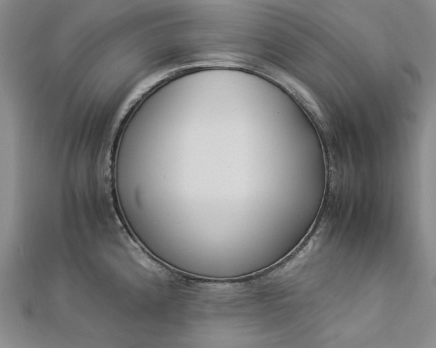 X0000112871192200909041615