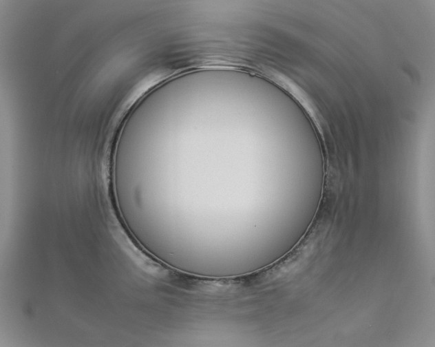 X0000112871195200909041615