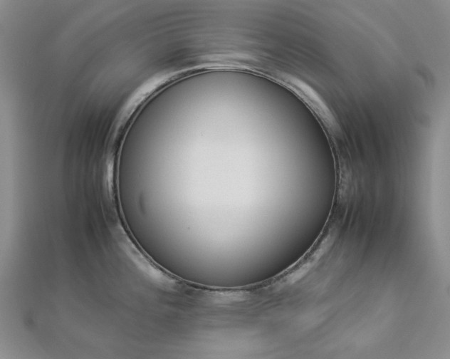 X0000112871196200909041615