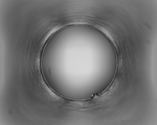 X0000112871197200909041615