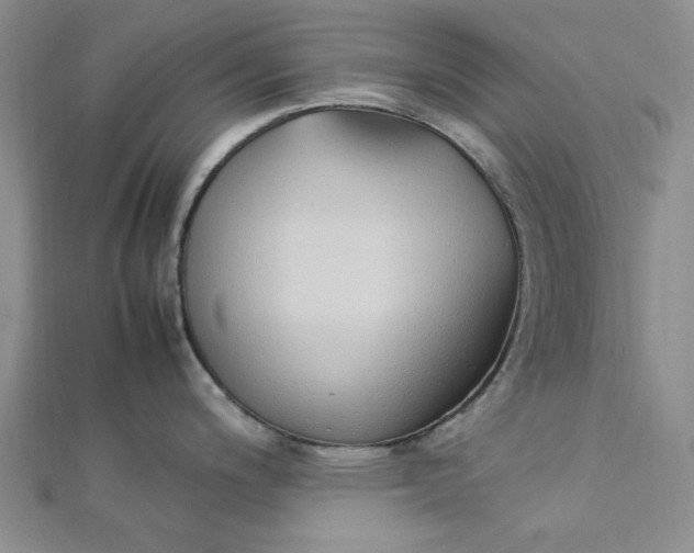 X0000112871200200909041615