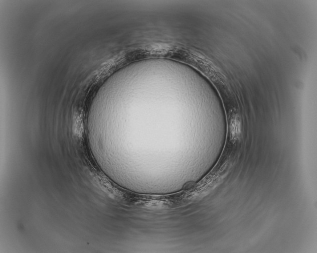 X0000112871204200909041614