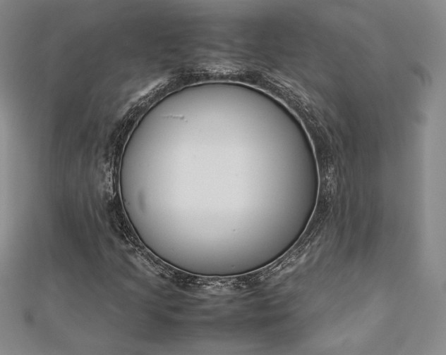 X0000112871205200909041614