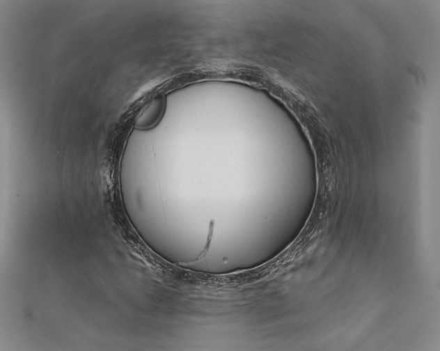 X0000112871206200909041614