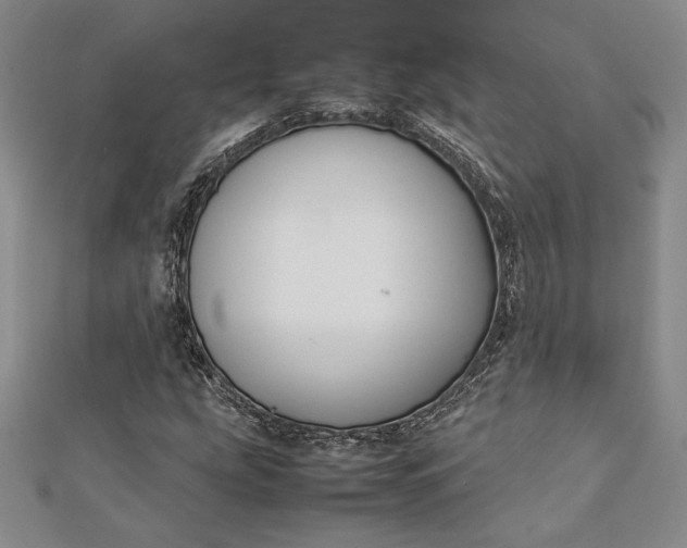 X0000112871207200909041614