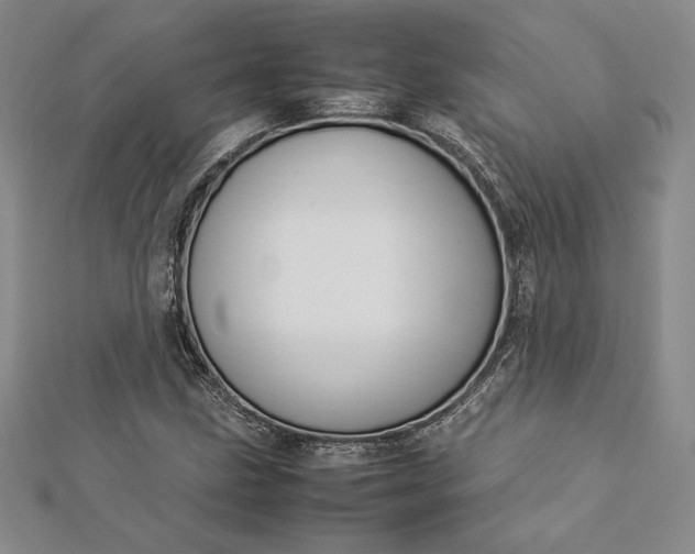 X0000112871211200909041614