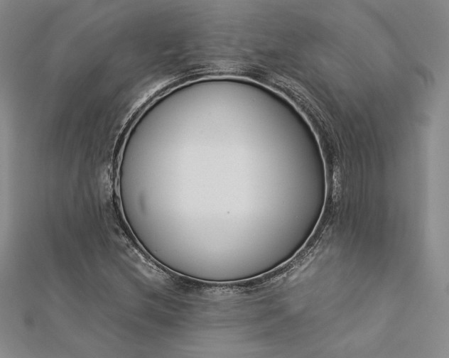 X0000112871212200909041614