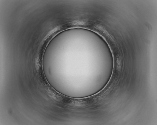 X0000112871213200909041614