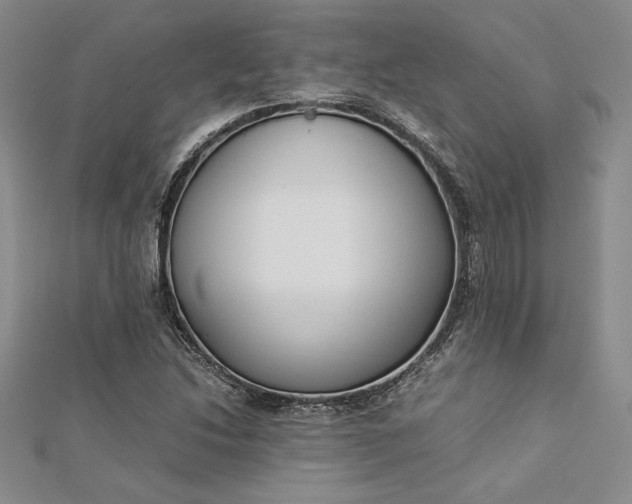 X0000112871214200909041614