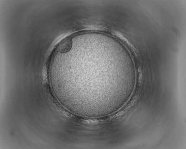 X0000112871215200909041614