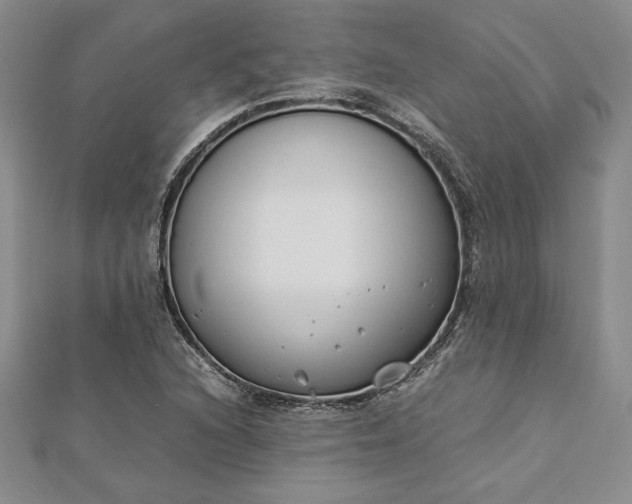 X0000112871216200909041614