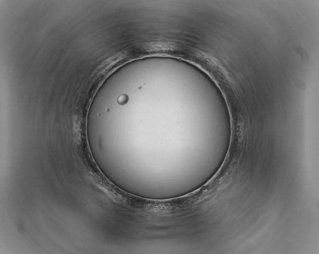 X0000112871217200909041614