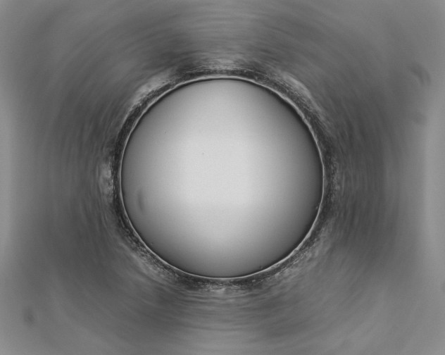 X0000112871218200909041614