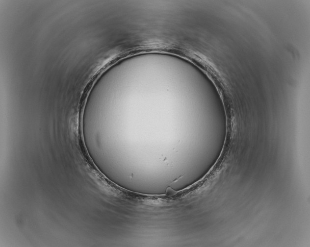 X0000112871220200909041614