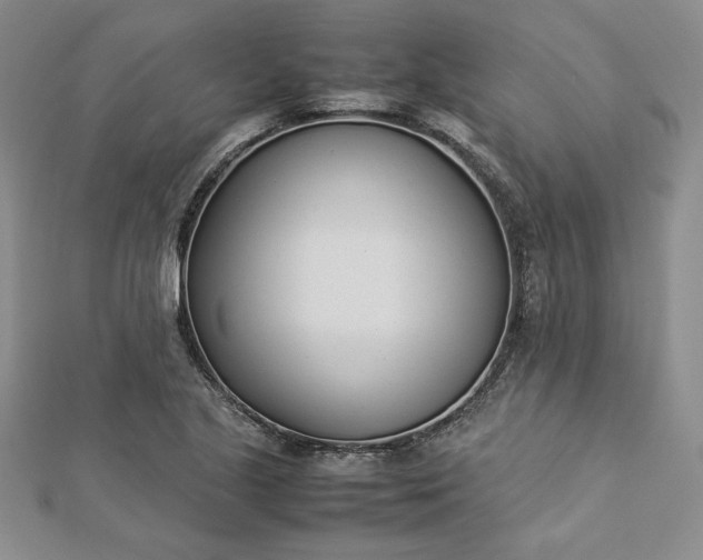 X0000112871221200909041615