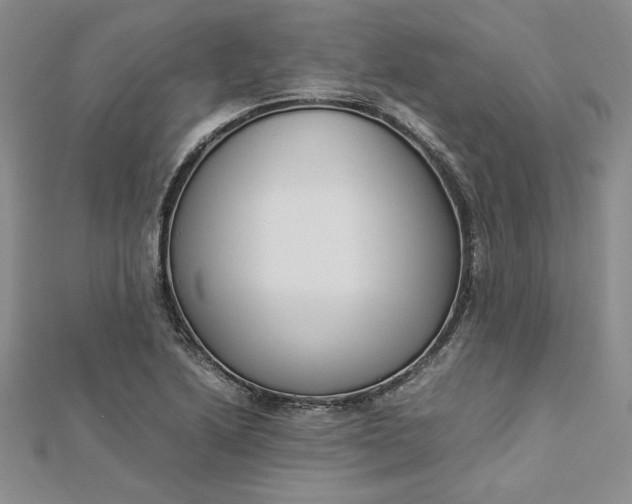 X0000112871222200909041615