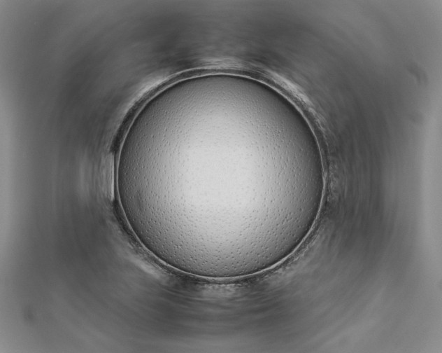 X0000112871223200909041615