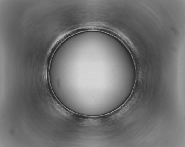 X0000112871224200909041615