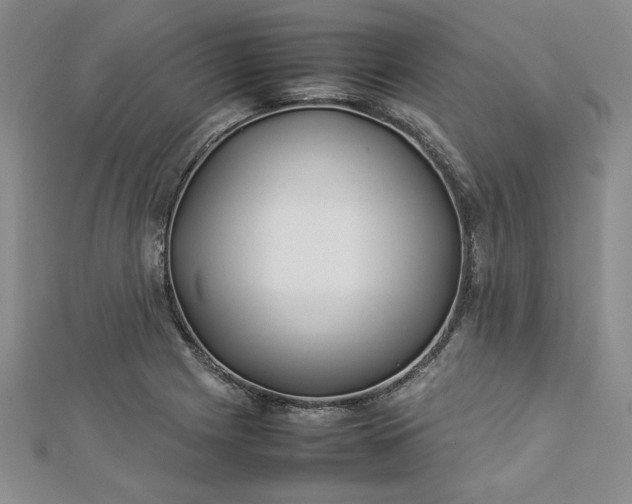 X0000112871225200909041615