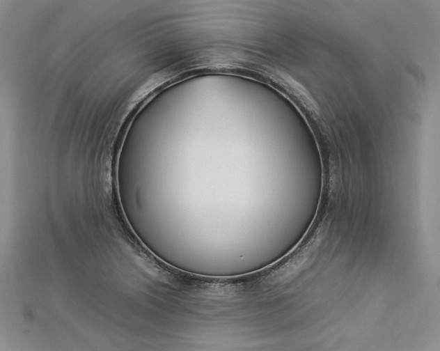 X0000112871226200909041615