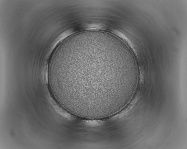 X0000112871227200909041615