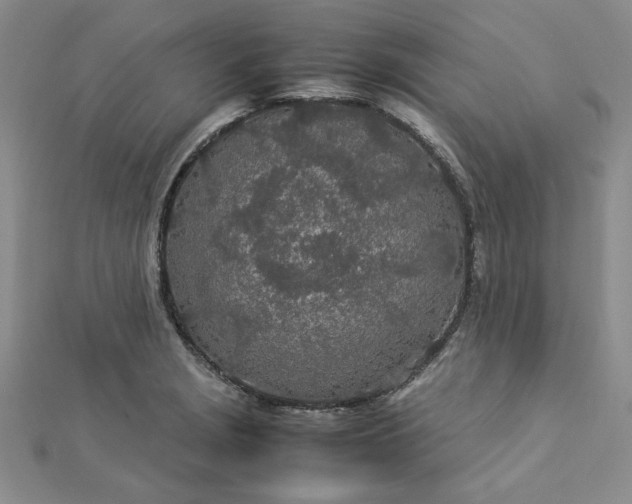 X0000112871229200909041615