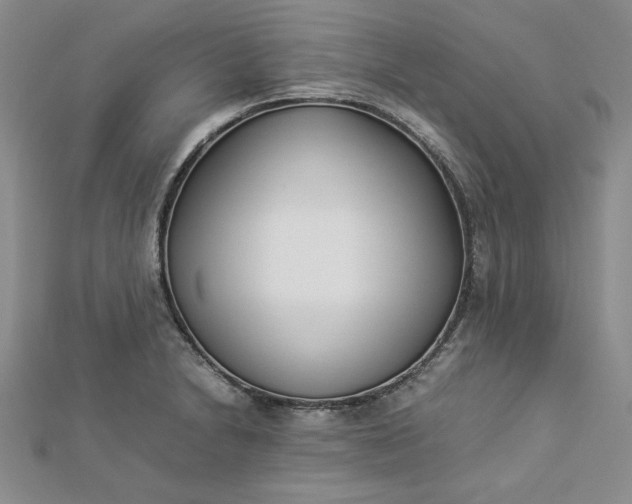 X0000112871230200909041615