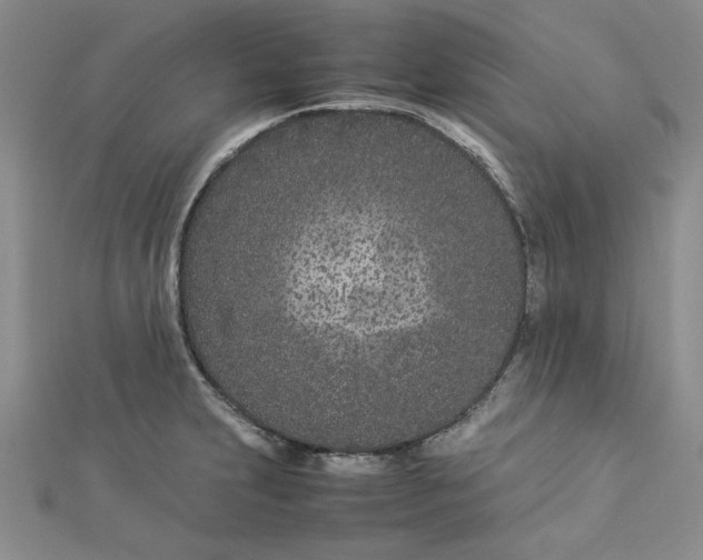 X0000112871231200909041615