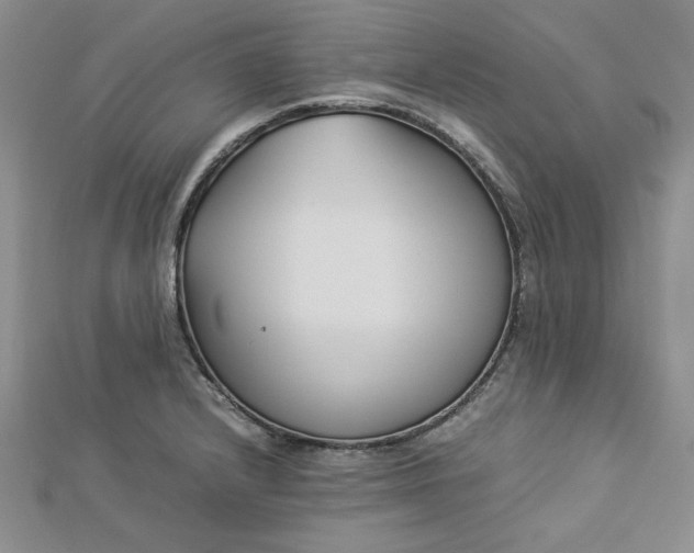 X0000112871232200909041615