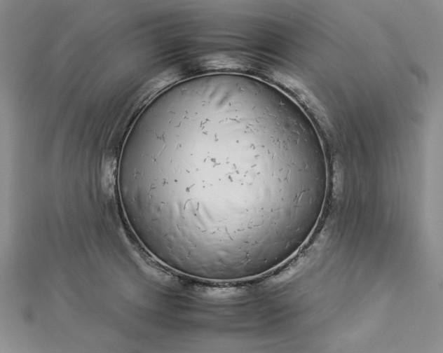 X0000112871233200909041615