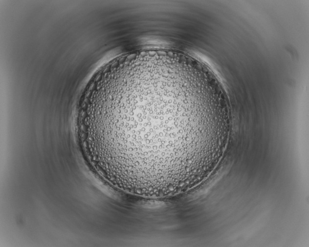 X0000112871235200909041615