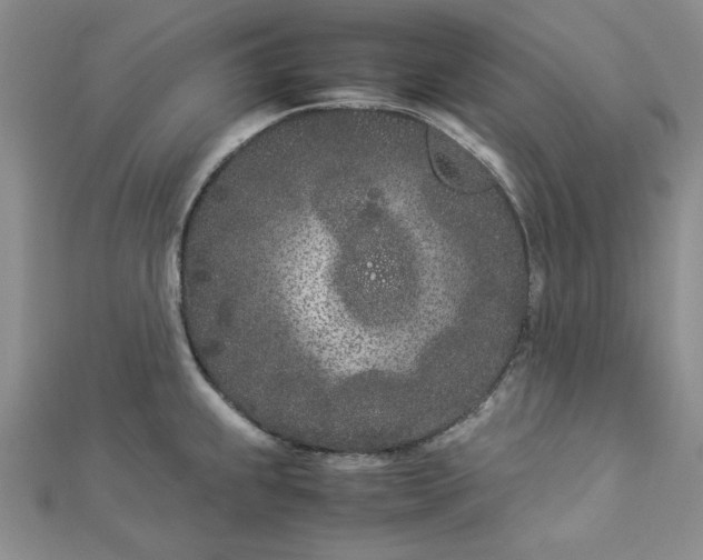 X0000112871239200909041615