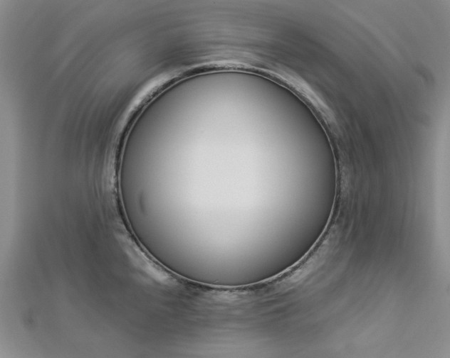 X0000112871240200909041615