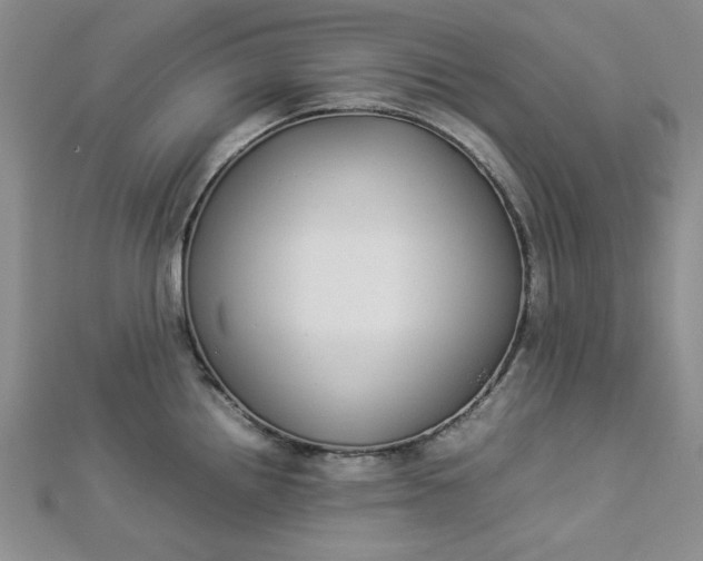 X0000112871242200909041615