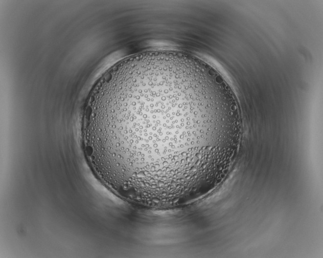 X0000112871243200909041615