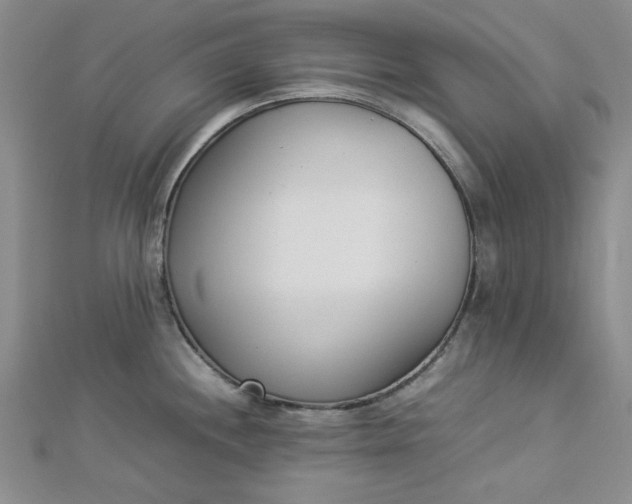 X0000112871244200909041615