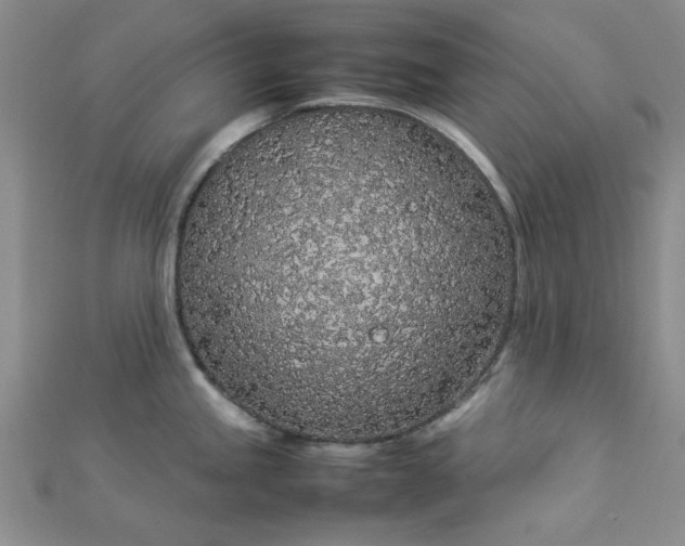 X0000112871245200909041615