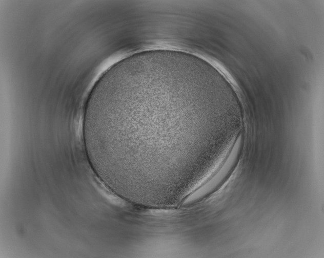 X0000112871246200909041615