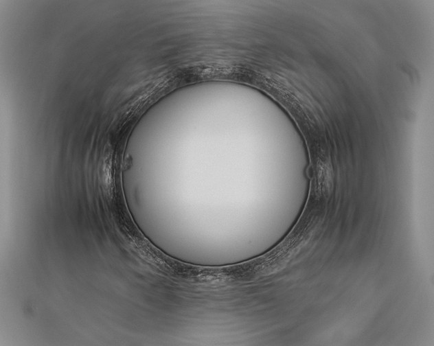 X0000112871250200909041614