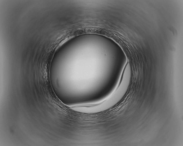 X0000112871252200909041614