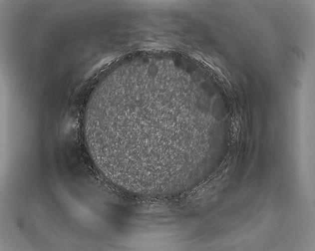 X0000112871254200909041614