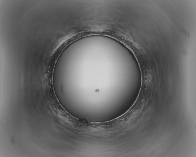 X0000112871256200909041614