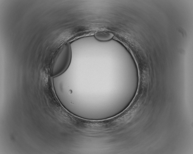 X0000112871257200909041614