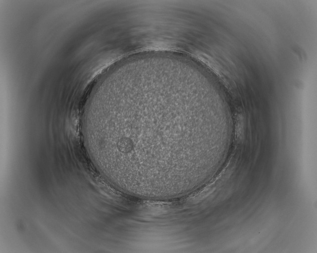 X0000112871258200909041614