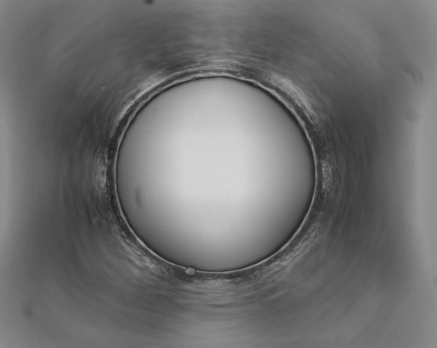 X0000112871260200909041614