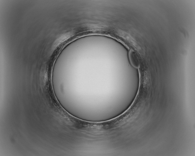 X0000112871261200909041614