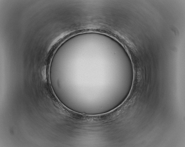 X0000112871262200909041614