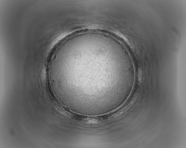 X0000112871263200909041614