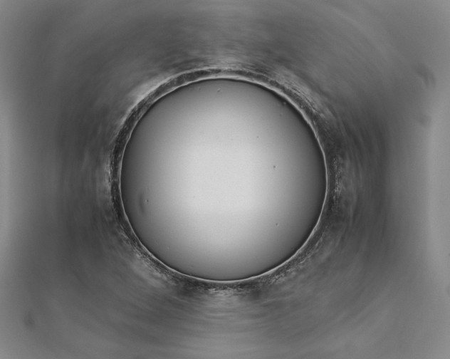 X0000112871264200909041614