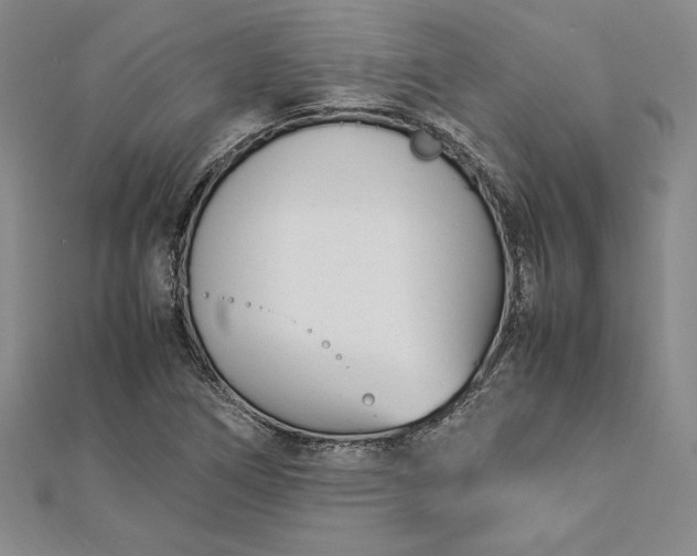 X0000112871266200909041614